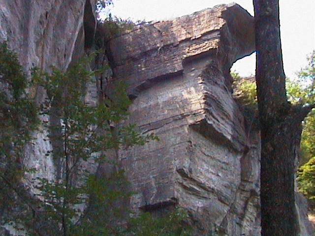 Tall cliffs overhang the trail.