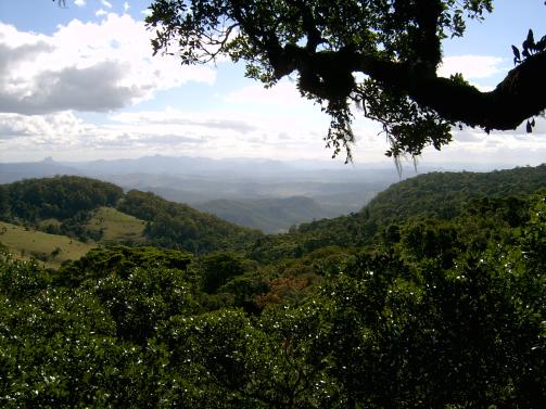 Lamington Vista