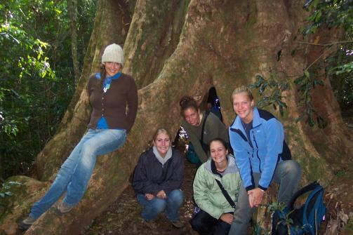 People posing under a hollow tree