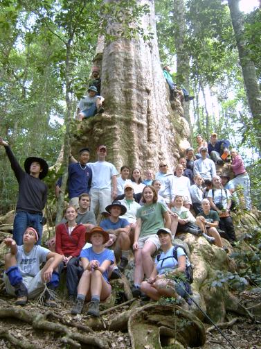 Students by tree