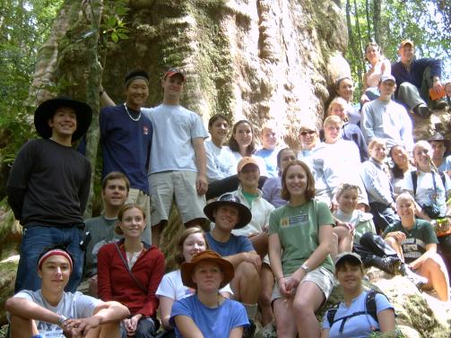 Group at base of giant tree