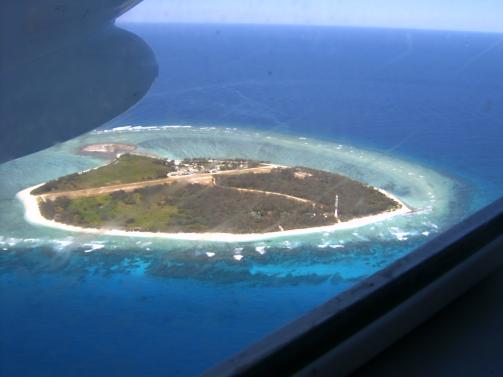 Lady Elliot Island from the plane