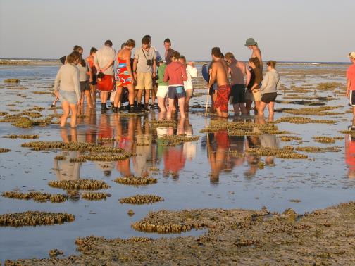 Students at low tide