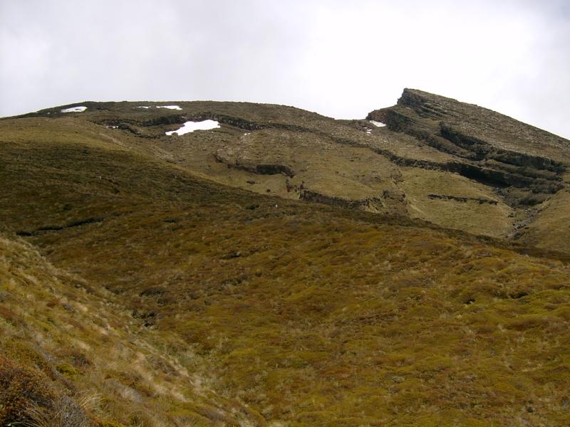  View up alpine-plant covered slope to exposed strata.