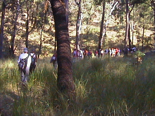 Line of students on the trail