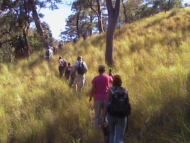 Snaking line through the grass