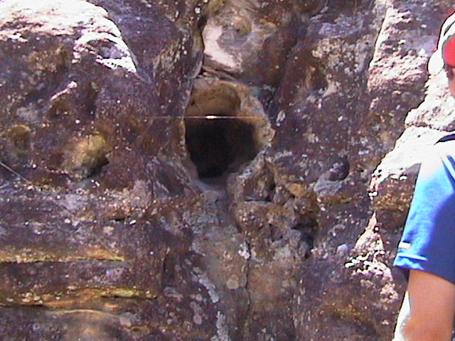 Hole left by ancient tree