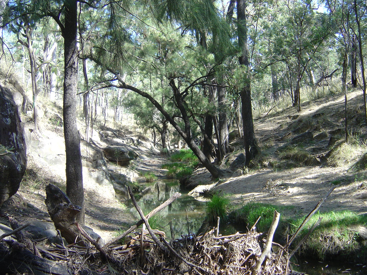 stream in gorge