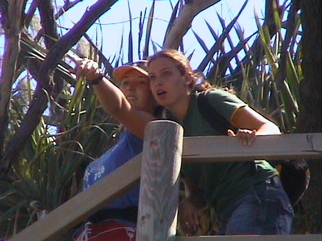 Spotting something in the swell