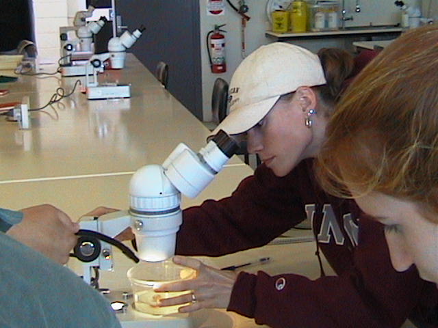 Invertebrate lab