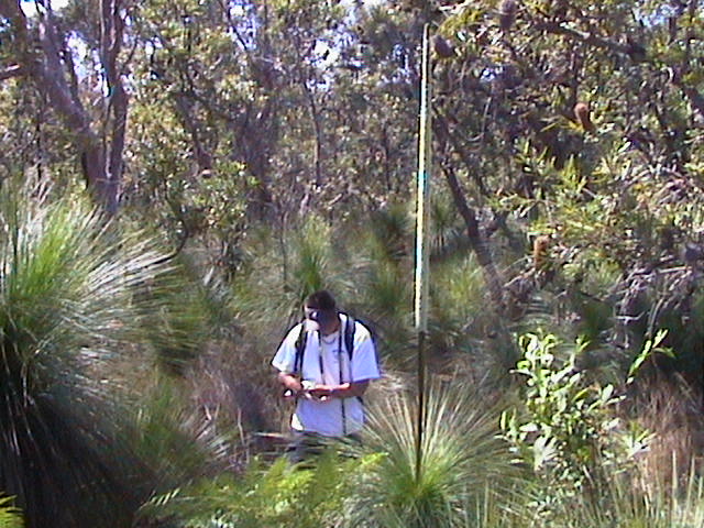 Dave and grass trees