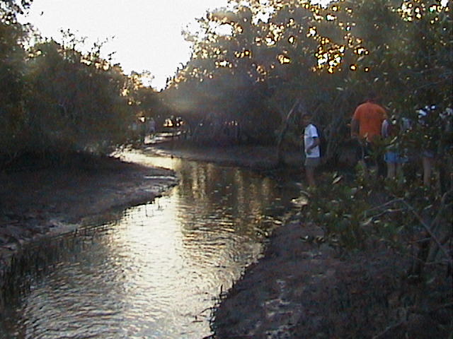 Myora Creek