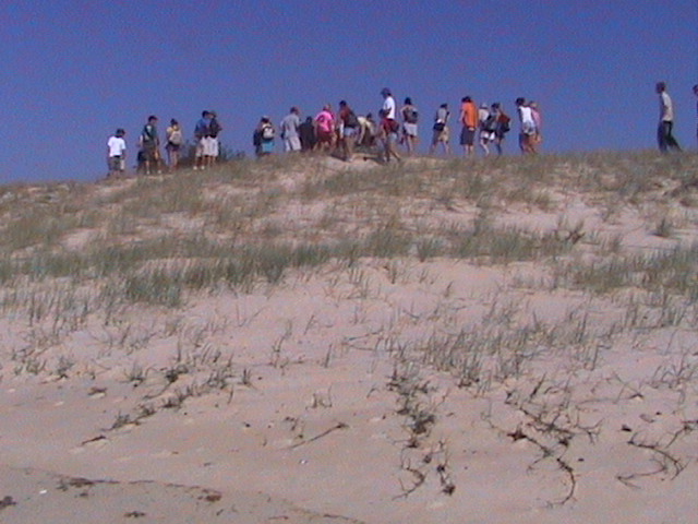 Kids on the dunes