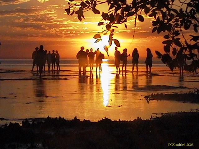 Sunset at Myora Springs