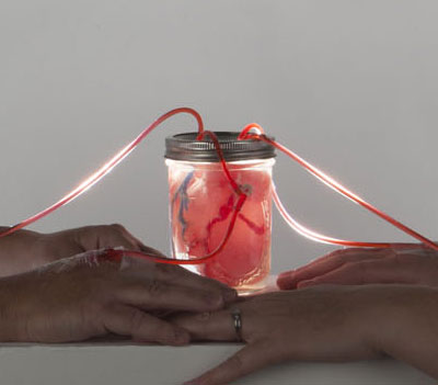 Shared Heart 01