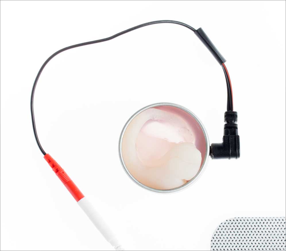 DIY Brain Module Kit