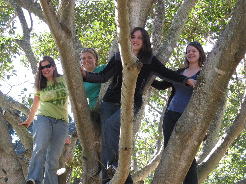 students in tree