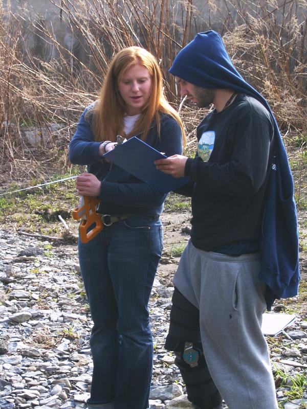 Students examining data sheets