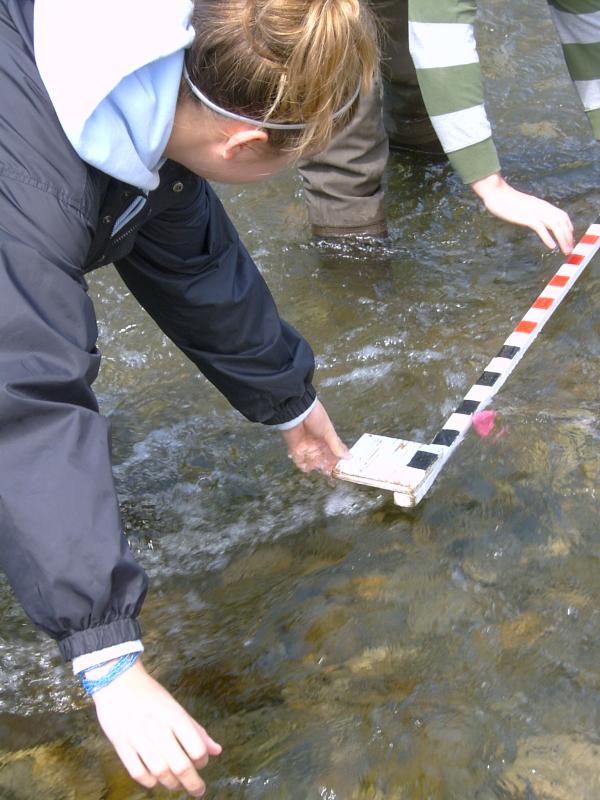 students floating sponge for experiment