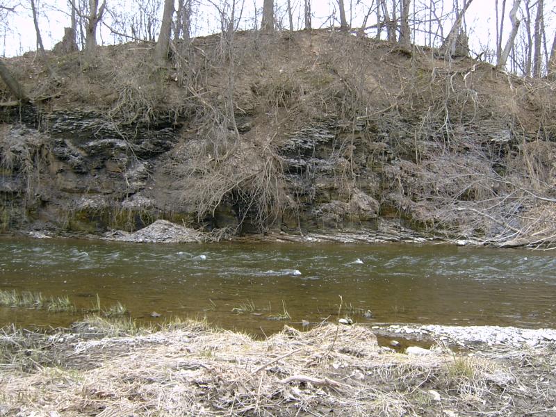 15 meter black shale outcrop