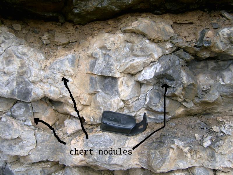 Chert nodules in limestone beds