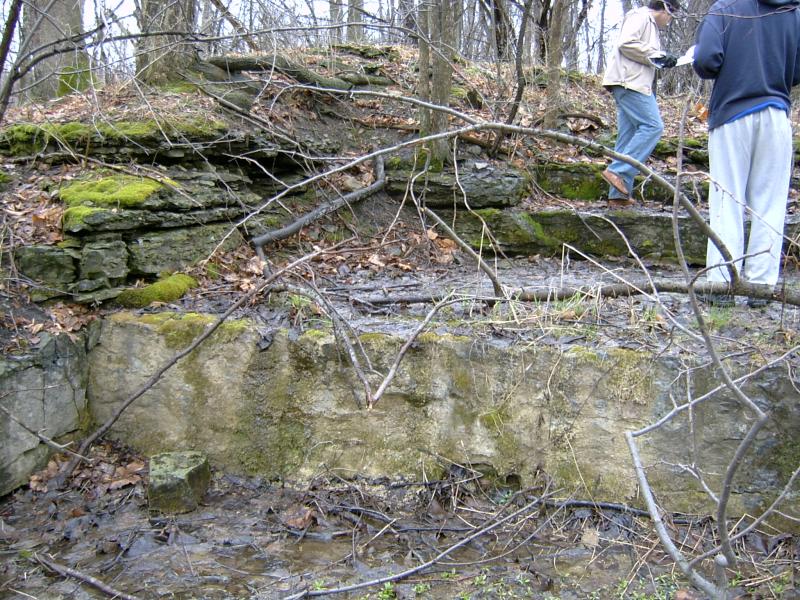 Limestone bed exposure