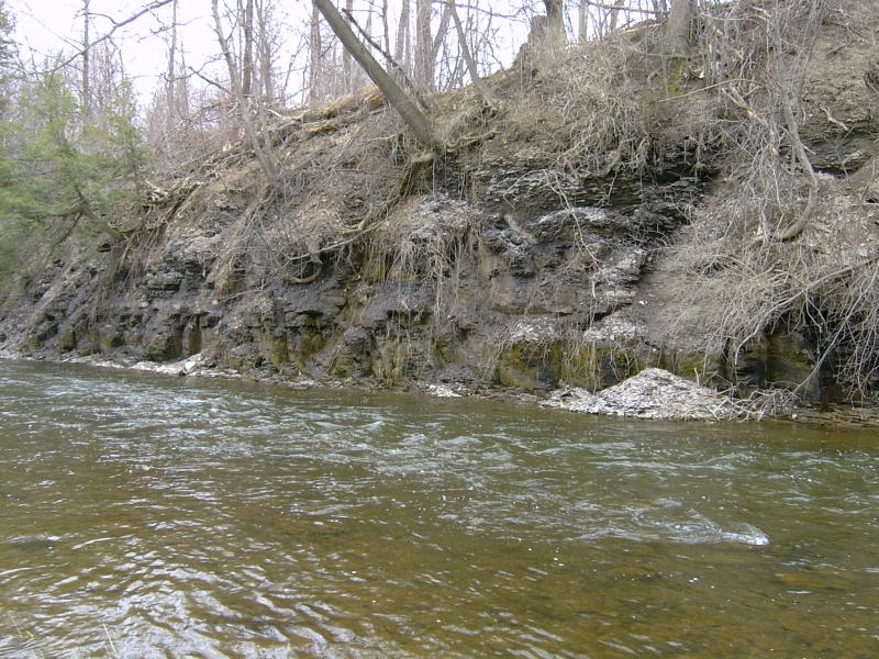 15 meter black shale outcrop