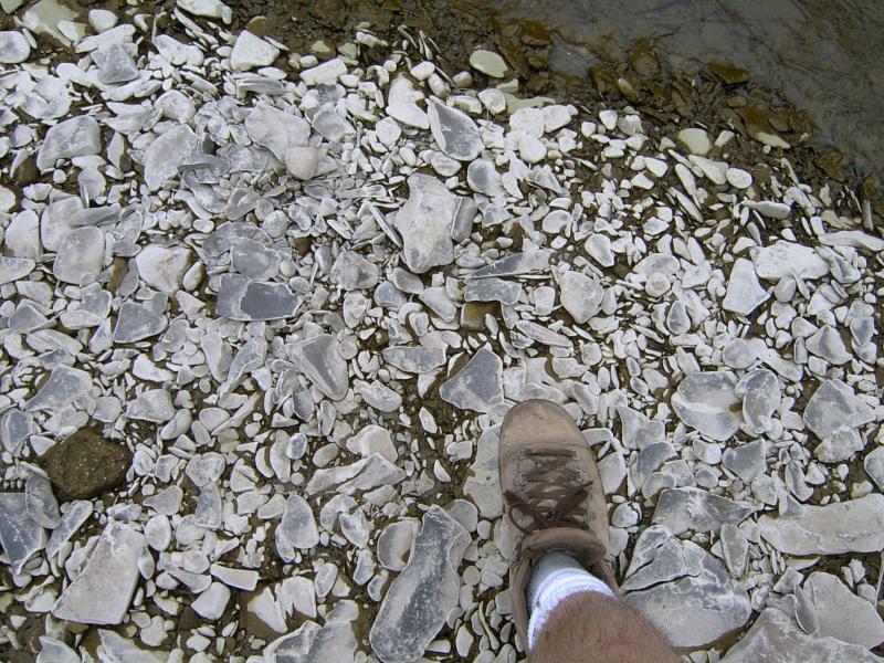 Shale pebbles at creek edge.